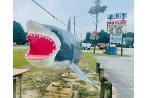 DDT Outlet | Topsail Coast Shopping | Topsail Island | Hampstead NC | Holly Ridge NC | Topsail Beach NC | Surf City NC | North Topsail Beach NC | Sneads Ferry NC | Topsail Coast Advertiser